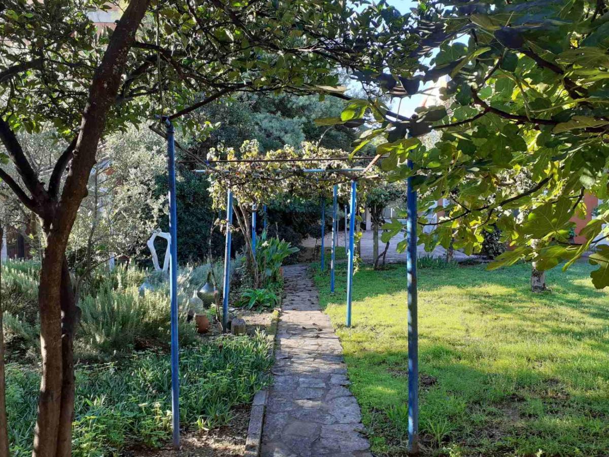 Apartments Rolovina 티바트 외부 사진